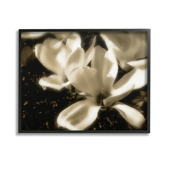 Stupell Industries Plant Petals in Nature Botanical & Floral Photography Black Framed Art Print Wall Art, 14 x 11