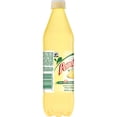 thumbnail image 5 of Peñafiel Piñada Pineapple Mineral Water Beverage 12 Pack 600ml Bottles Refreshing Sparkling Drink, 5 of 5
