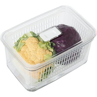 Oggi Prep, Store & Serve Plastic Bowl w/See-Thru Lid- Dishwasher, Microwave  & Freezer Safe, (4 qt) White/Aqua