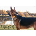 thumbnail image 7 of Regal Dog Products Custom Fit Collar with High Strength Buckle & Heavy Duty D Ring, 7 of 7