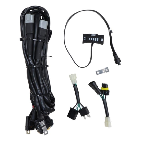 LIGHTING LOOM; INCLUDES LOOM AND DIMMER