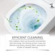 thumbnail image 5 of Limpiador de Ácido Oxálico para Inodoros y Quitamanchas de Azulejos: Potente Desincrustante para Baños, Ideal para Superficies Cerámicas, Eliminación de Cal y Limpieza Profunda de Suciedad., 5 of 6