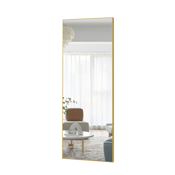 NeuType 22 in x 65 in Gold Modern Full Length Mirror