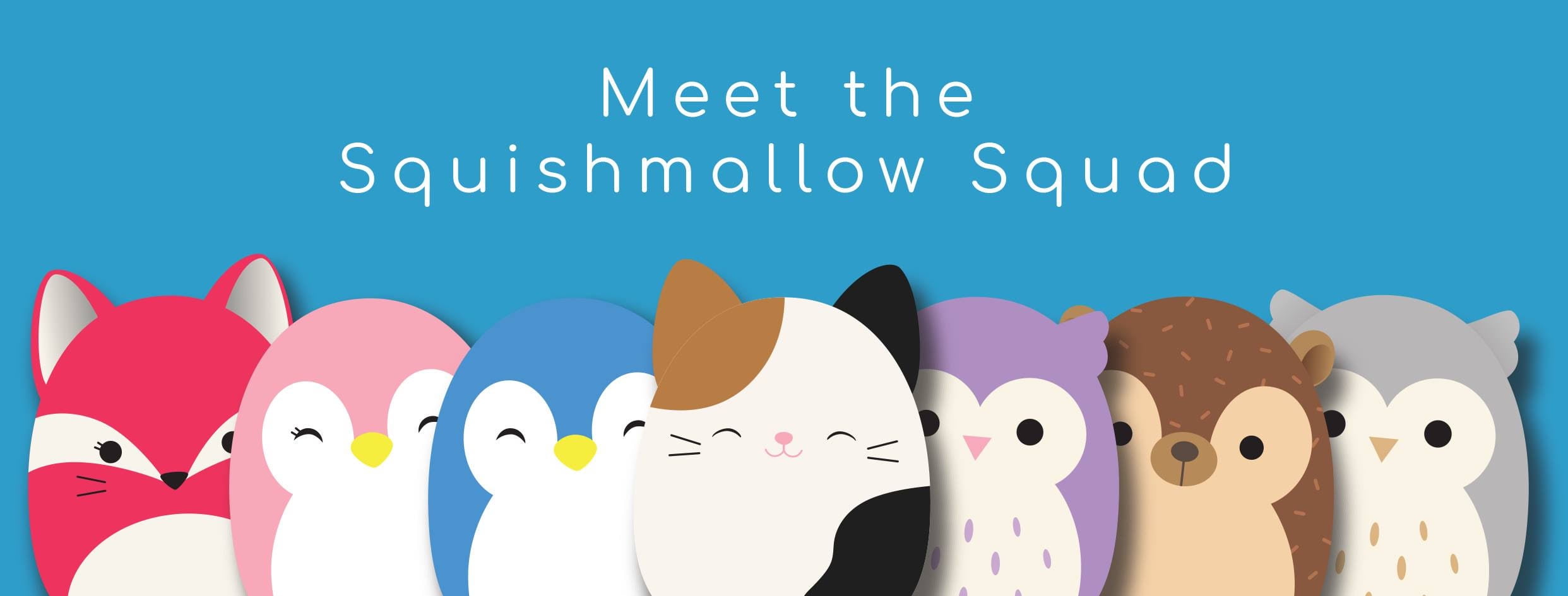 squishmallow cam