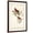 Brown Frame, variant on Art.com Common Cardinal Grosbeak Art Print by John James Audubon, 12" x 18"