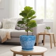 thumbnail image 6 of EPFamily 8 inch Blue Mottled Glaze Ceramic Planter with Drainage Hole and Saucer – Indoor Outdoor Pot for Succulents, Cacti, Houseplants, 6 of 6