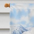 thumbnail image 3 of Carolines Treasures ASA2037CHF Mountain Hare White Rabbit Flag Canvas House Size, 3 of 4