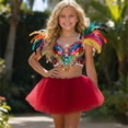 thumbnail image 2 of DGQPLPD Girls Ballet Performance Tutu Skirt Four Layer Soft For Stage Shows And National Dance Brick Red 3-5 Years, 2 of 5