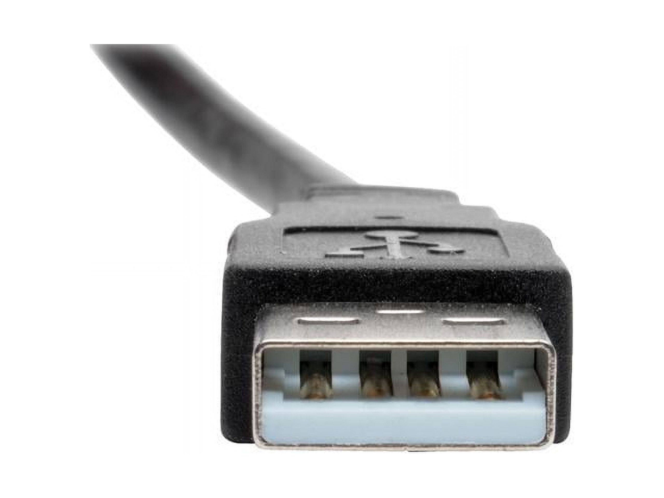 Tripp Lite USB 2.0 Keystone Panel Mount Extension Coupler Cable (M/F) Angled 1ft (U024-001-KPA-BK) - image 4 of 5