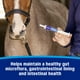 thumbnail image 5 of Pasta Probiótica Farnam para Caballos para la Salud Digestiva, 5 of 9