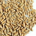 thumbnail image 2 of Organic Spelt: 50 Lbs Bulk - Non-GMO Grain Seeds - Flour, Bread, Baking, Cooking, Food Storage, Sprouting, Spelt Grass, 2 of 2