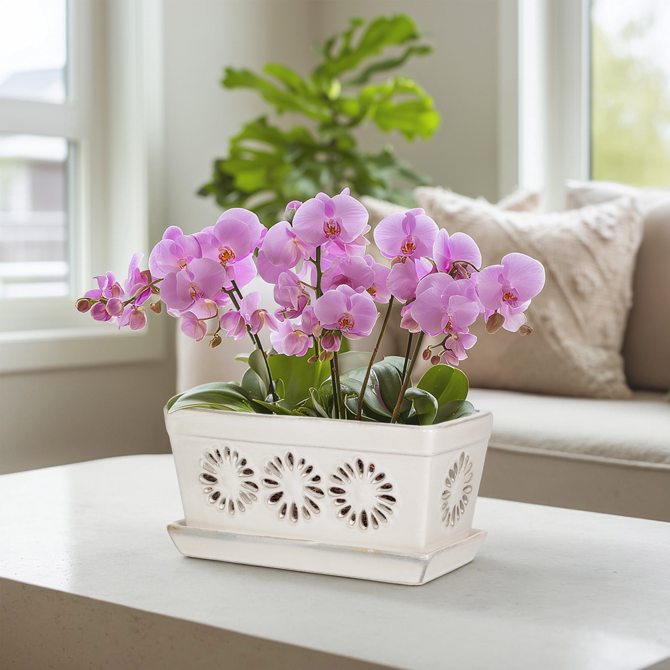 Ceramic orchid pot, 10 Inch orchid pots with holes, premium thickened handmade glazed pot for orchidaceae plants, indoor outdoor decorative flower pots for easy repotting