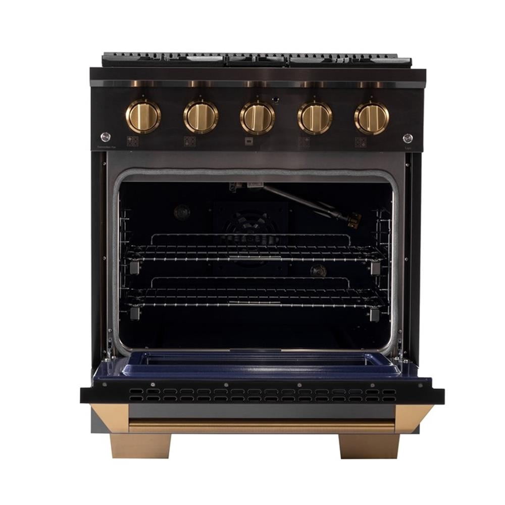 Pemberly Row 30" Propane Gas Range in Titanium Stainless Steel