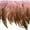Pink, variant on Belagio 9" Wide x 10 Yards Feather Trim, 1 Bolt, Black