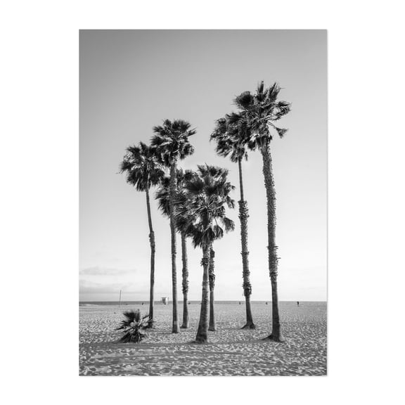 Palms, Santa Monica 01 B&W - Los Angeles California Photography Unframed Wall Art Print 5 x 7 inches