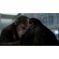 thumbnail image 5 of Rise Of The Planet Of The Apes DVD, 5 of 5