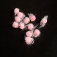thumbnail image 2 of 5Pcs/Box Luya Milk Fishing Egg Fly Hook Floating Water Nymph Wet Fly, 2 of 6