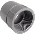 thumbnail image 1 of Adaptateur Femelle en PVC 5140049C 2.5 Po., 1 of 1