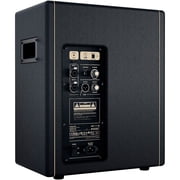 Positive Grid Spark CAB Powered FRFR Speaker Cab - Black