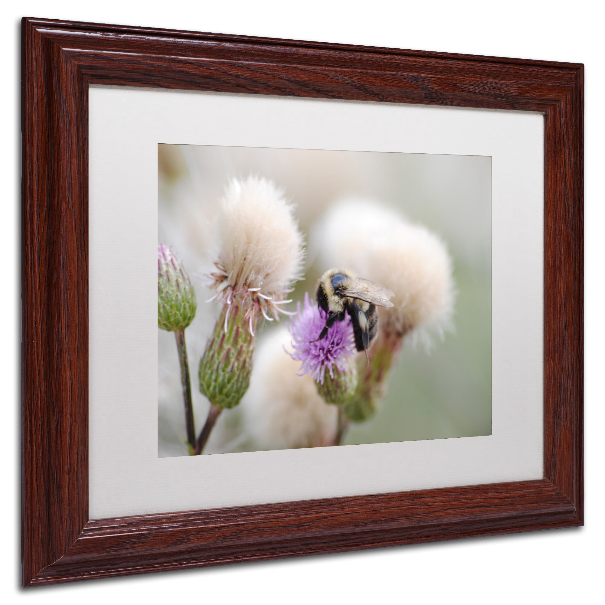 Trademark Fine Art "Defeated" Canvas Art by Monica Mize, White Matte, Wood Frame
