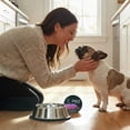 thumbnail image 5 of (3 pack) Pure Balance Pro+ Small Breed Beef Stew Wet Dog Food, 3.5 oz Cup, 5 of 13