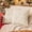 Cream White, variant on Burnt Orange Fall Pumpkin Decorative Throw Pillow Covers Set of 2, 20x20 Inch Soft Plush 3D Embroidered Halloween Pillow Covers for Fall Decorations Farmhouse Cushion Covers for Thanksgiving
