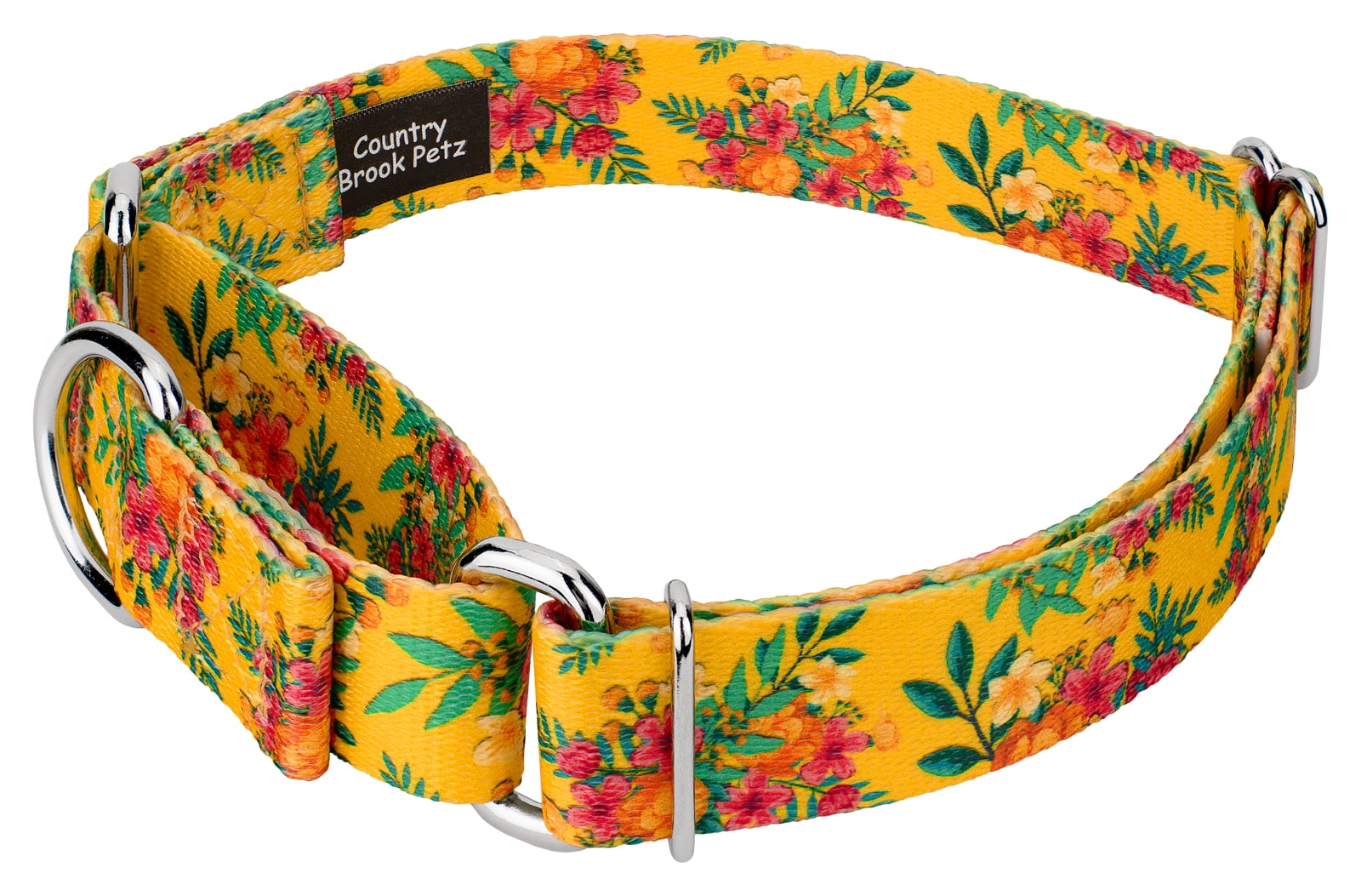 Country Brook Petz® Tropical Floral Martingale Dog Collar and Leash, Large