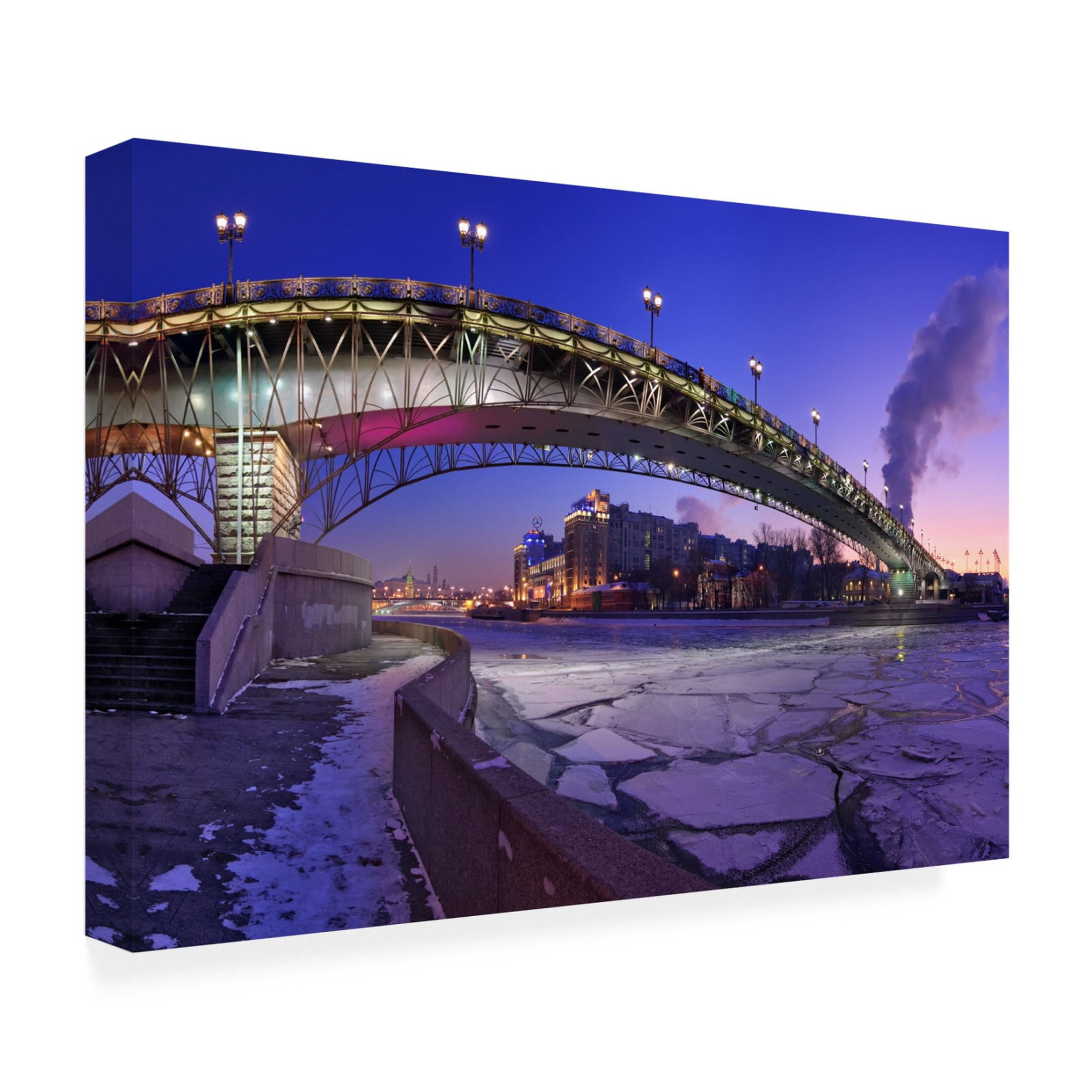 Canvas Wall Art - Vladislav Ponomarev 'Frozen' Wall Art for Living Room, Bedroom, or Office D?cor by Trademark Fine Art - 19 x 12 Inches