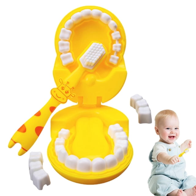 HUASHENG Teeth Model For Teaching Kids Giraffe Demonstration Teeth Model With Toothbrush Habit Cultivation Kids Play Set For Children Student Toys.