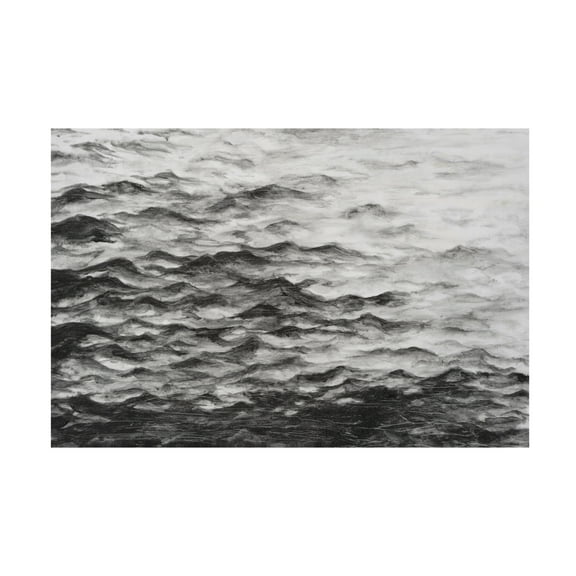 Trademark Fine Art Michael Willett Surface Water I Canvas Wall Art