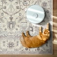 thumbnail image 5 of GLN Rugs Cyrene - Indoor, Machine Washable Area Rug 2'6"x7' Cream/Gray Home Carpet, All Ages, 5 of 9