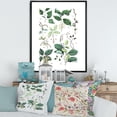 thumbnail image 2 of Ancient Botanicals VIII 16 in x 32 in Framed Painting Canvas Art Print, by Designart, 2 of 5