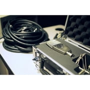 sE Electronics T2 Large Diaphragm Condenser Microphone with Titanium Capsule