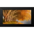 thumbnail image 2 of Allen, Kimberly 24x14 Black Modern Framed Museum Art Print Titled - Quiet Pond, 2 of 5