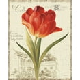 thumbnail image 2 of Audit, Lisa 20x24 Black Ornate Wood Framed with Double Matting Museum Art Print Titled - Garden View III - Red Tulip, 2 of 4