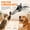Bat, variant on Wild Paws Flying Bat Dog Toy, 2026 New Interactive Flying Bat Toy for Dogs with Flapping Wings, Realistic Flight Motion