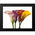 thumbnail image 2 of Frank, Assaf 24x19 Black Modern Framed Museum Art Print Titled - Four calla lilies, 2 of 5