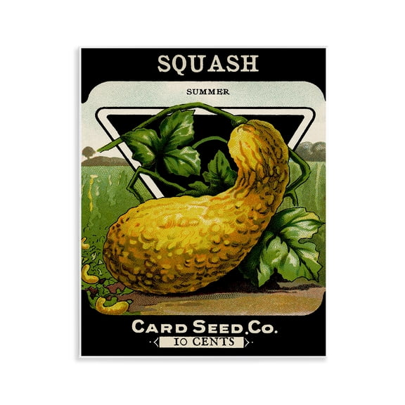 Stupell Industries Vintage Garden Squash Food & Beverage Painting Unframed Art Print Wall Art, 11 x 14