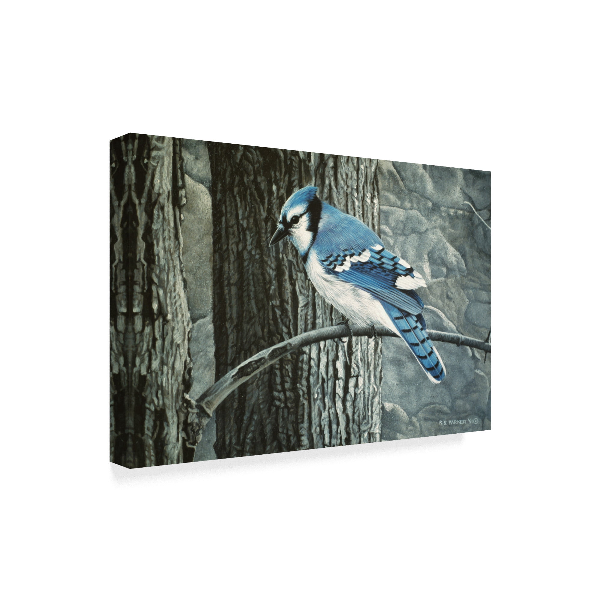 Trademark Fine Art 'Backyard Jay' Canvas Art by Ron Parker