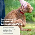 thumbnail image 6 of Vetnique DermaBliss Vet Strength Medicated Anti-Itch & Allergy Relief Shampoo for Dogs and Cats, 16 fluid ounces, 6 of 11