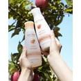 thumbnail image 3 of Live Clean Apple Cider Detox Shampoo, 12 oz. Bottle, 3 of 5