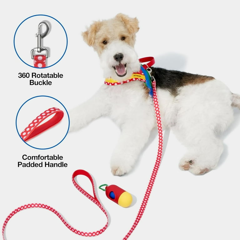 Dog harness for clearance puppy training