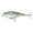 Live Mullet, variant on 6th Sense – Speed Wake High-Speed Wake Bait Bass Fishing Lure, 100mm (7/8oz.), Surface Waker