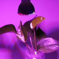 thumbnail image 3 of LLC 28W Full Spectrum Led Grow Light Growing Lamp Bulb For Flower Plant 85V-265V GU10, 3 of 6