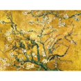 thumbnail image 3 of Van Gogh, Vincent 18x15 Black Modern Framed Museum Art Print Titled - Mandorlo in fiore (gold variation), 3 of 5