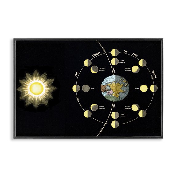 Stupell Industries Art Deco Moon's Orbit & Phases Black Framed Giclee Art, 18 x 12, by Phillipa Katz