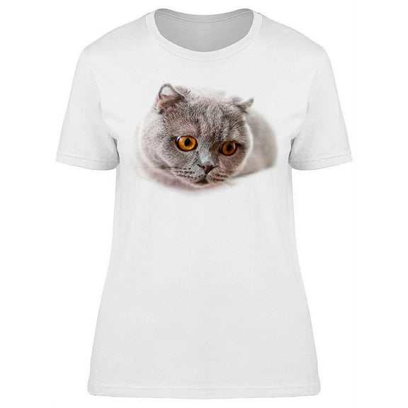 British Fold Cat T-Shirt Women -Image by Shutterstock Women T-Shirt, Female Large