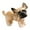 F, variant on nTRIUQJ Lifelike Toy Dog Realistic Stuffed Animal Soft Cuddly Puppy Doll for Kids A