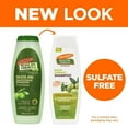 thumbnail image 2 of Palmer's Olive Oil Formula Smoothing Shampoo, 13.5 Oz., 2 of 2