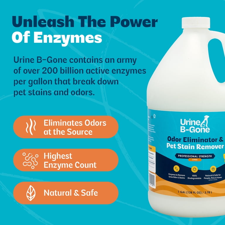 Kinzua Environmental Urine B-Gone Enzyme Cleaner, Citrus Scent, 1 Gallon Pet Stain & Odor Remover - Walmart.com Kinzua Environmental Urine B-Gone Enzyme Cleaner, Citrus Scent, 1 Gallon Pet Stain & Odor Remover - Walmart.com